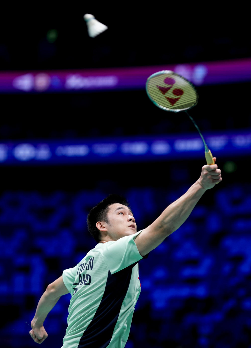 铺平了成长 铺平了成长