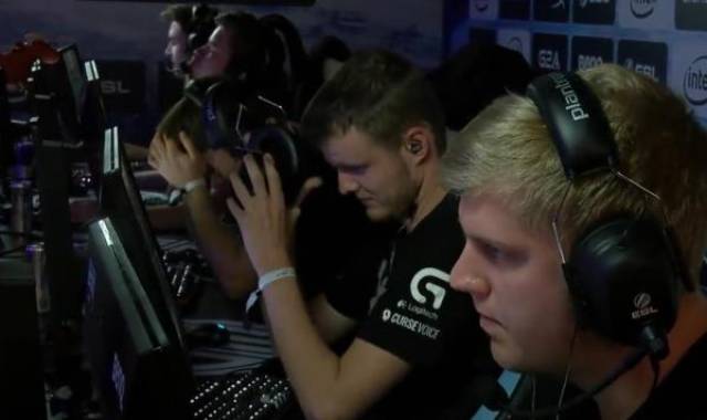 引进有丰富 引进有丰富